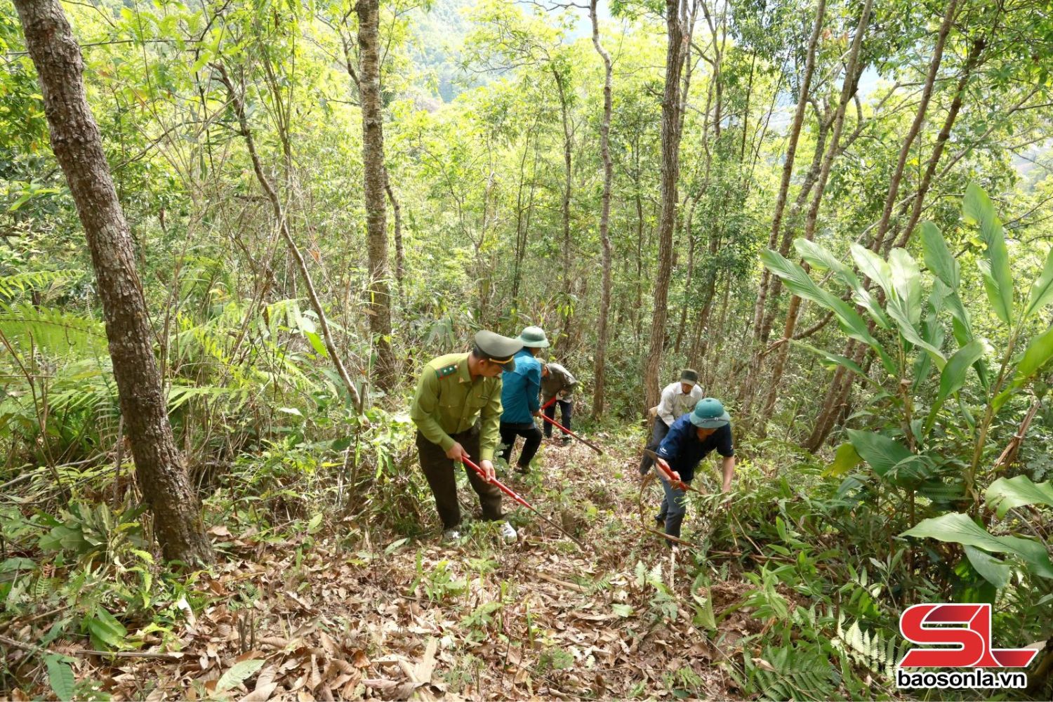 Rangers patrolling in Muong La Nature Reserve. Source: baosonla.vn.