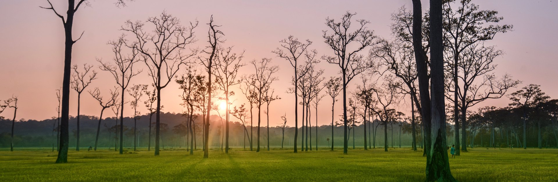 Sundowner in Ta Lai Field Dong Nai