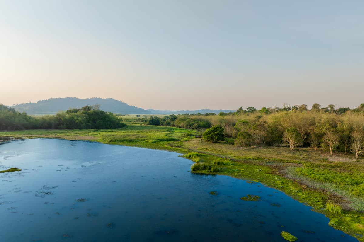 Under the Ramsar Convention, wetlands are defined to include areas of swamps, rivers, lakes and shallow coastal waters such as Bau Sau (Crocodile Lake) in Cat Tien National Park.