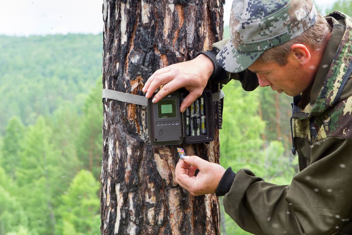 Camera traps are installed hidden in areas that are often used by animals.