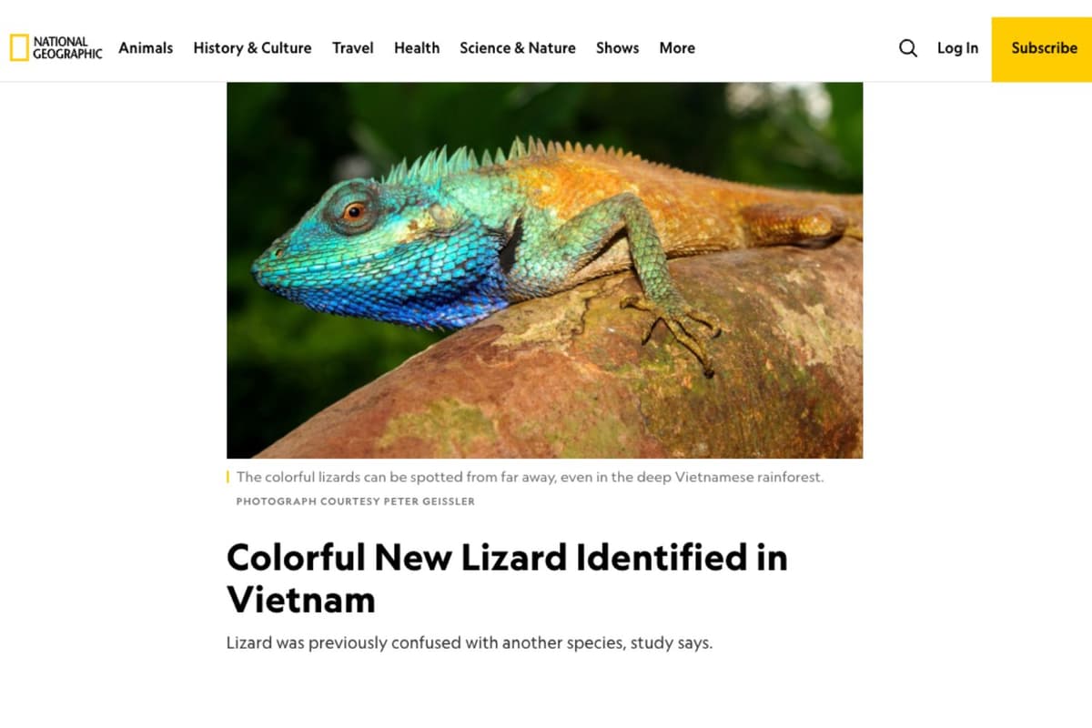 natgeo-new-lizard-in-cat-tien