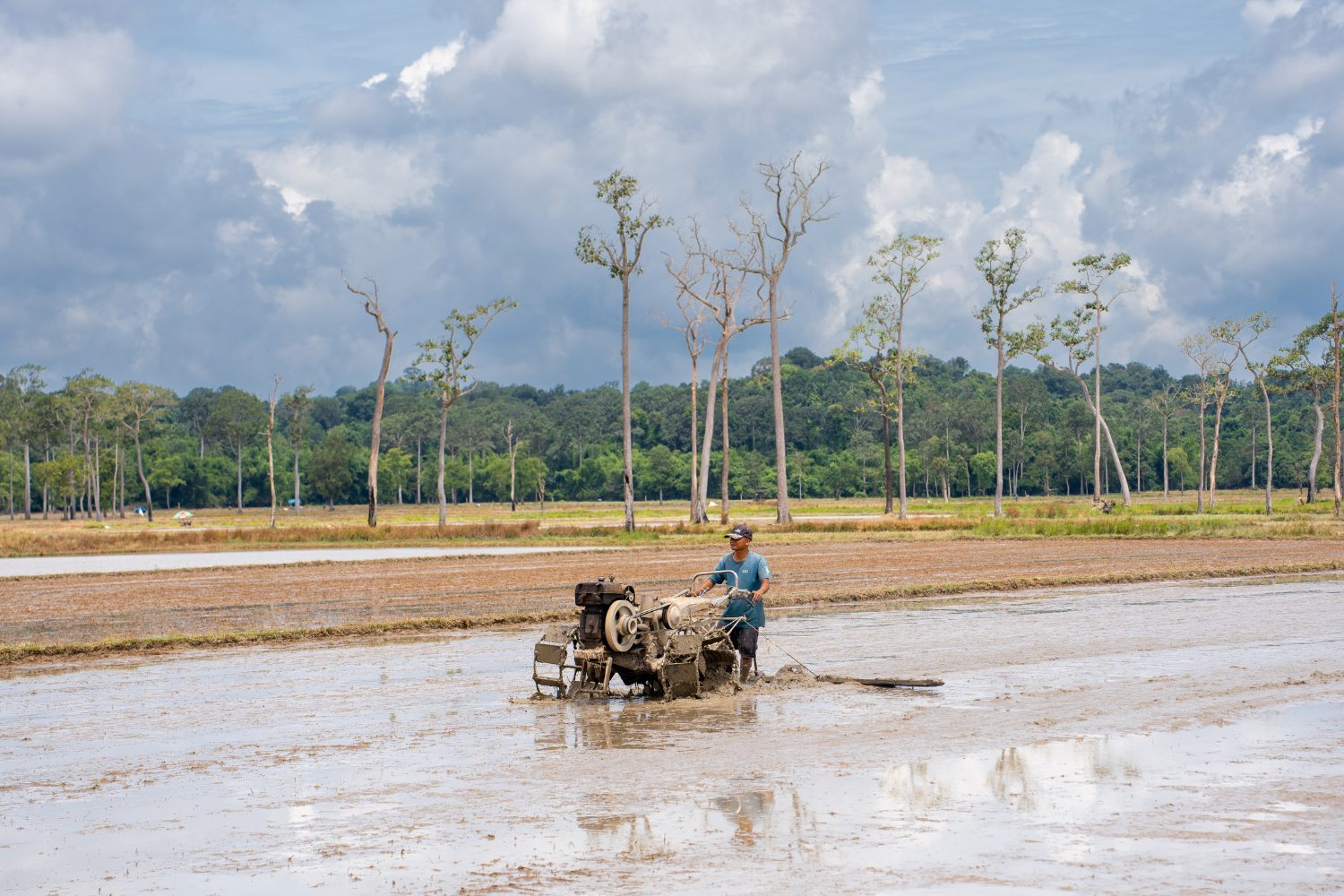 Local farmers working in the lush fields of Ta Lai.