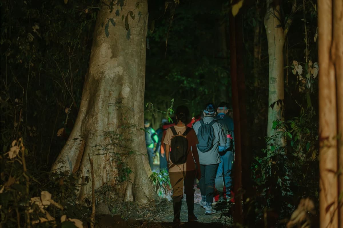 Katien Safari’s night trekking activities to observe wildlife at night from Bau Sau.