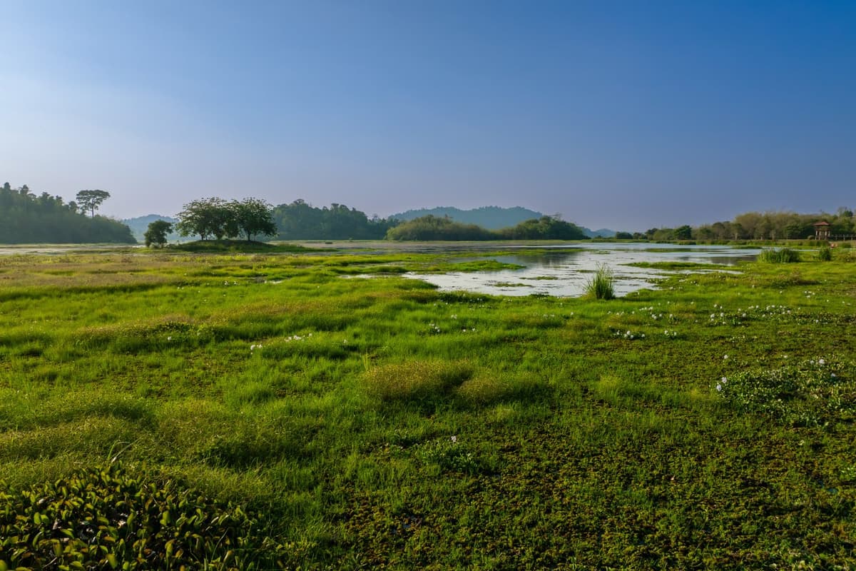 In 2005, Bau Sau was recognised as a Wetland of International Importance under the Ramsar Convention.