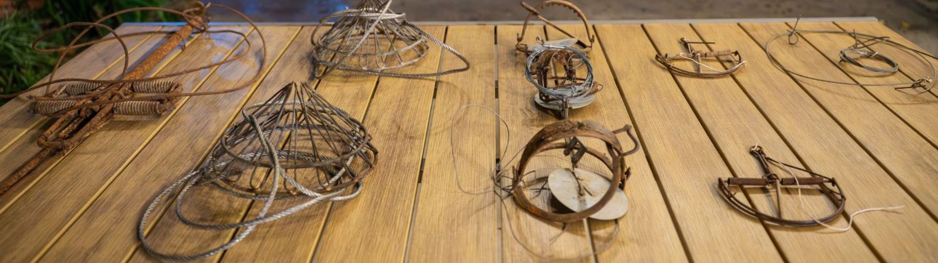 type-of-animal-trap