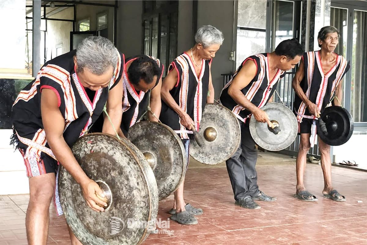 Không chỉ đơn thuần là nhạc cụ, những bộ cồng chiêng còn được xem là vật thiêng, chứa đựng bản sắc văn hóa và đời sống tín ngưỡng của cộng đồng S’tiêng. Nguồn: Báo Đồng Nai