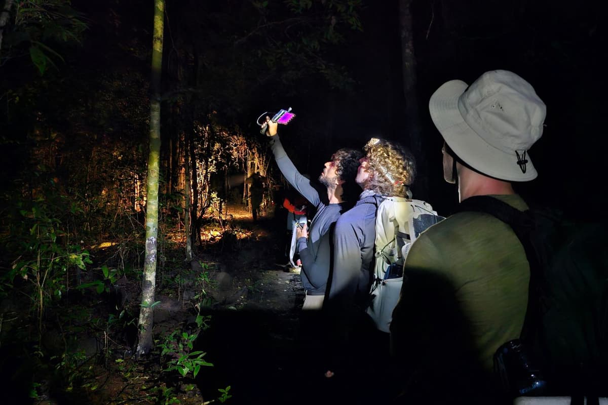 As night falls, visitors can spot wildlife using advanced thermal imaging technology.