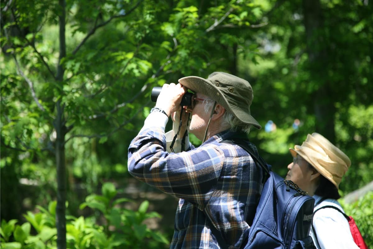 Birdwatching has proved to increase patience, observation and mindfulness.