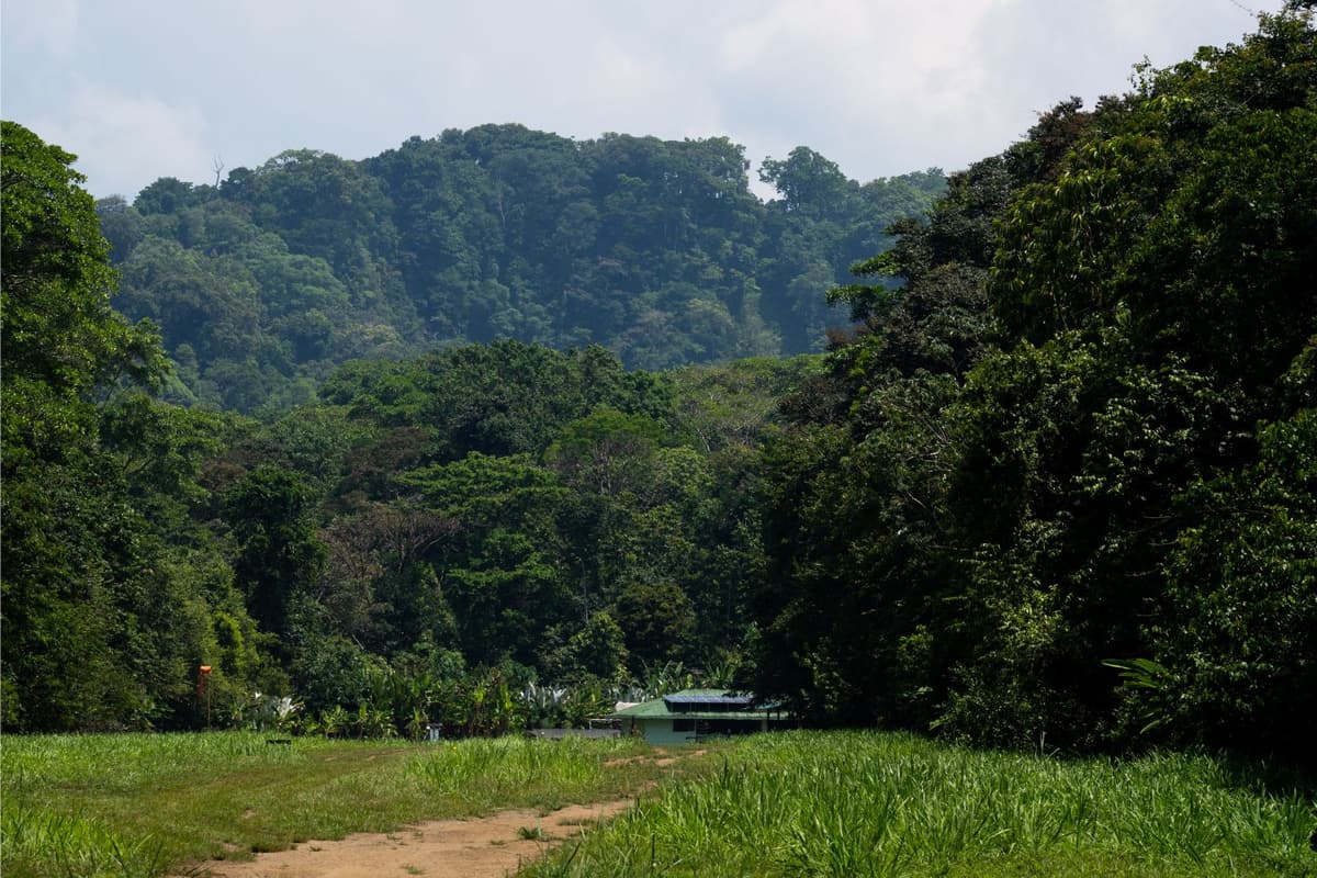 Corcovado National Park in Costa Rica