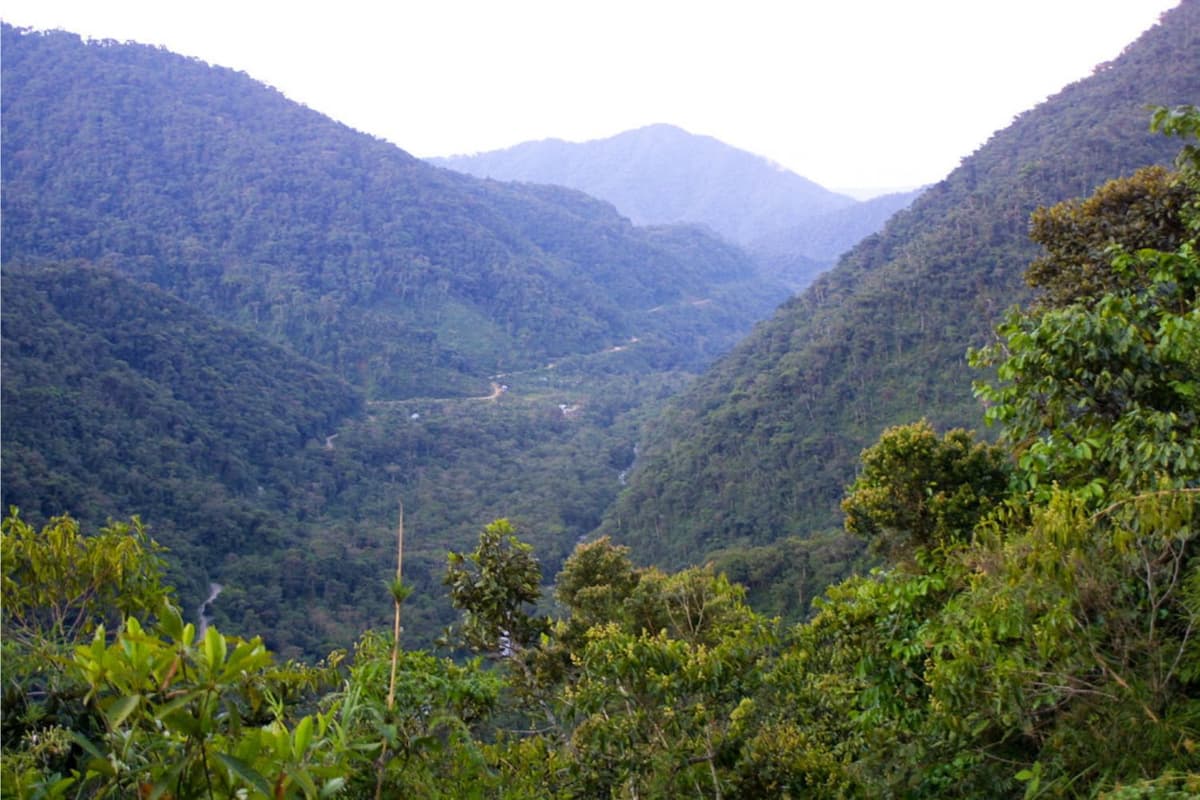 Manu Road in Peru. Image: Marcel Holyoak
