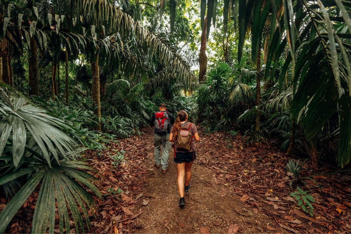 Pipeline Road hike in Panama. Image: Acon Expeditions of Panama